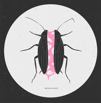 bug
